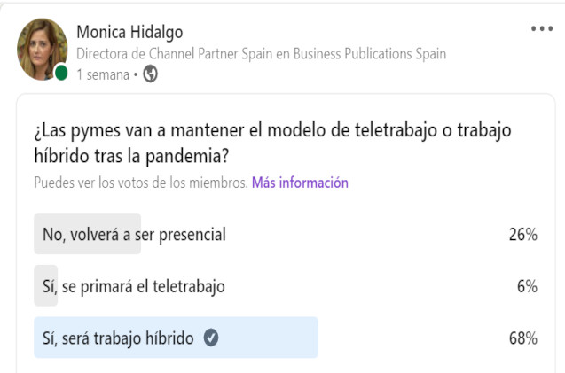 Encuesta teletrabajo Channel Partner Encuesta teletrabajo Channel Partner