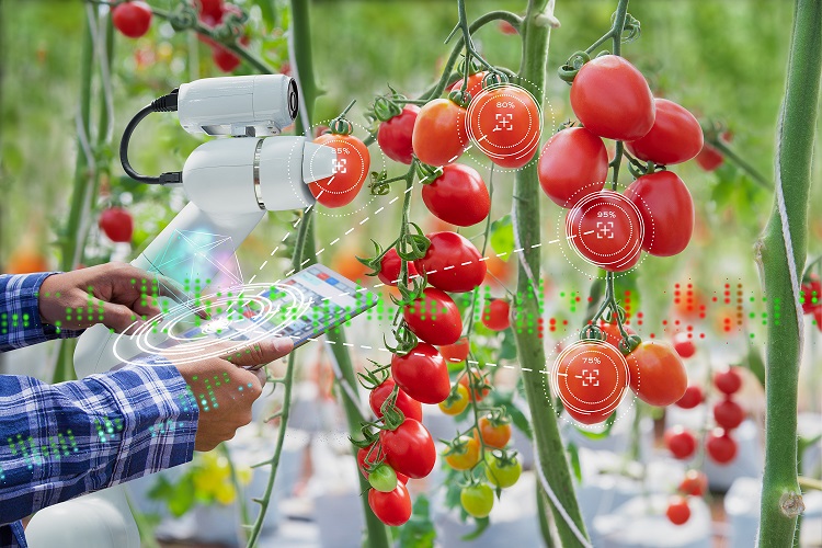 Proyecto AgrarIA: Inteligencia Artificial en el sector agroalimentario.