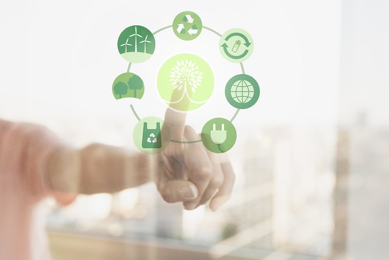 El 84% de los directivos apuesta por la economía circular y la sostenibilidad. El 84% de los directivos apuesta por la economía circular y la sostenibilidad.