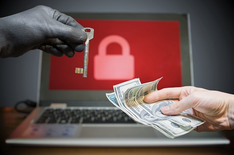 El 43% de las empresas que pagaron por ransomware lo hicieron para volver a ser operativas