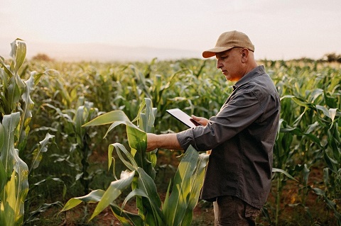 Microsoft presenta una solución que aprovecha conjuntos de datos en el sector agrícola