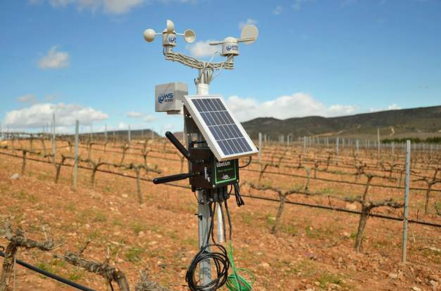 Vid-Expert: calculadora inteligente de huella de carbono en el sector vitivinícola.