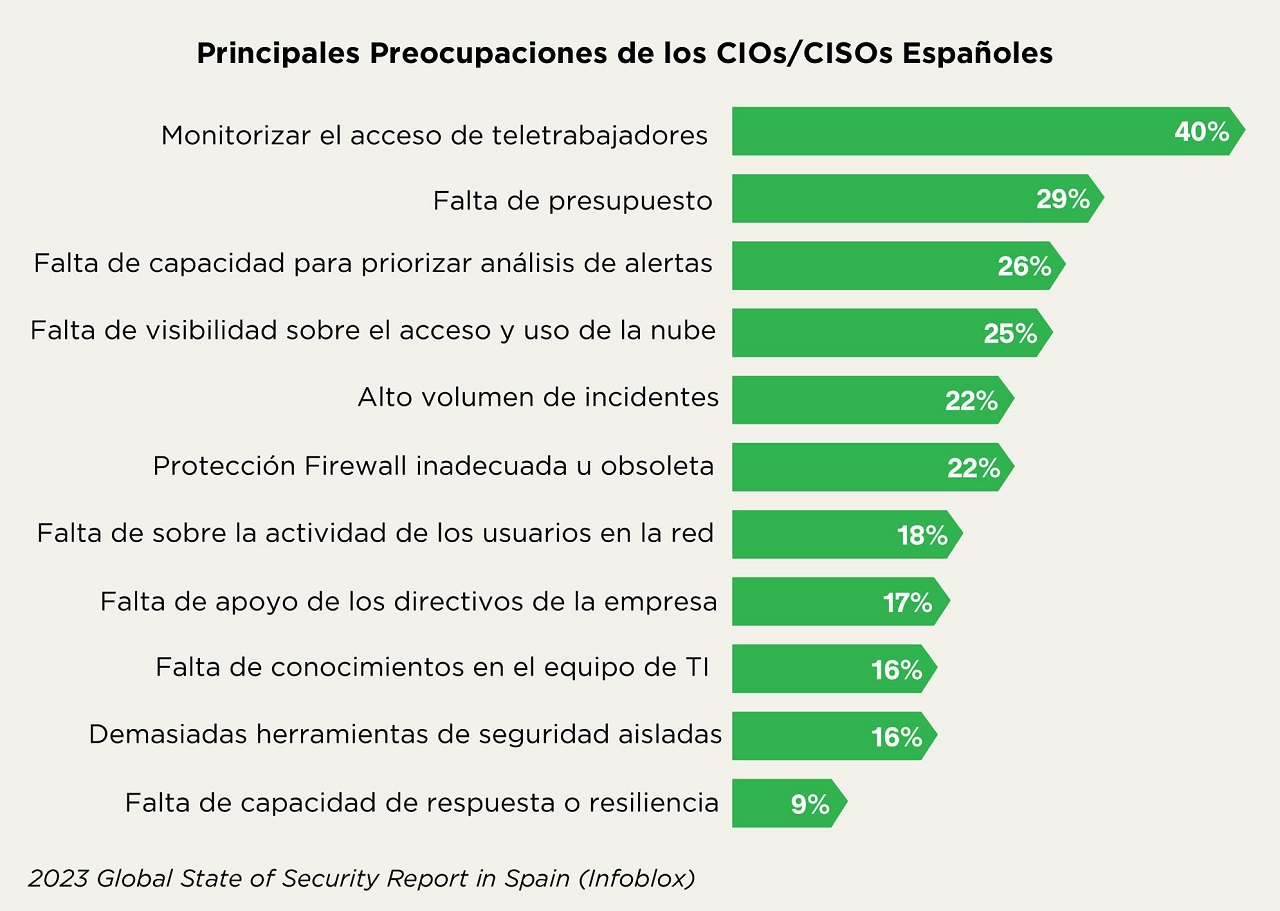 Principales preocupaciones de los CIO y CISO españoles. 