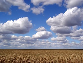 Huawei da a conocer su oferta para medios de comunicación con Open Telekom Cloud Huawei da a conocer su oferta para medios de comunicación con Open Telekom Cloud
