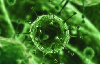El 80% de los internautas españoles ha sido víctima de virus en la Red El 80% de los internautas españoles ha sido víctima de virus en la Red
