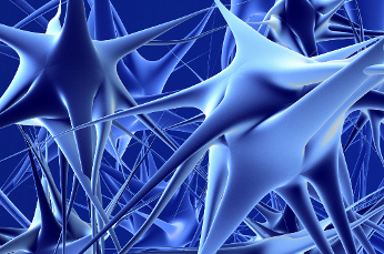 Redes neuronales, la gran innovación en el mundo de la traducción Redes neuronales, la gran innovación en el mundo de la traducción