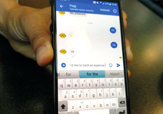 Chatbot de Sage Pegg. Chatbot de Sage Pegg.