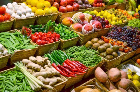 agroalimentaria agroalimentaria