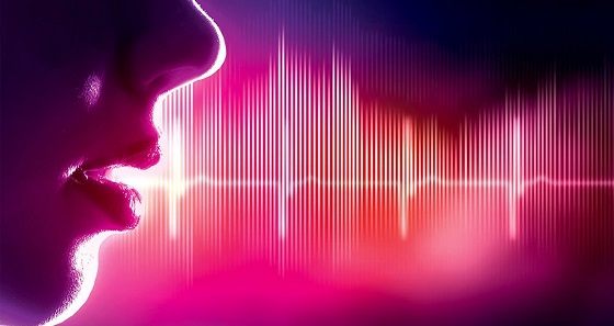 Voice User Experience: el despertar de la voz en la experiencia del cliente Voice User Experience: el despertar de la voz en la experiencia del cliente