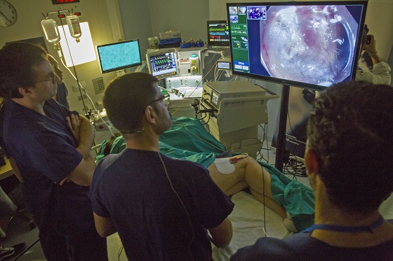 Cirugía endoscópica digestiva con 5G y realidad aumentada. Cirugía endoscópica digestiva con 5G y realidad aumentada.
