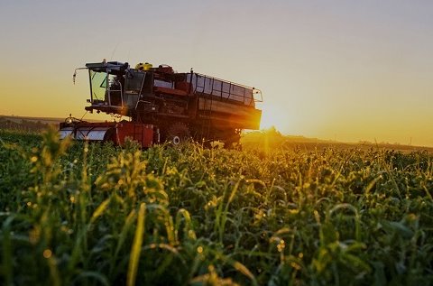 Nutreco aumenta la productividad de su negocio. Nutreco aumenta la productividad de su negocio.