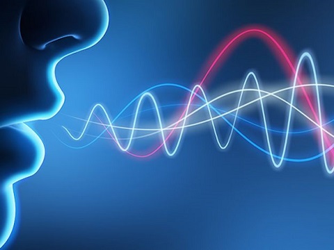 Las comunicaciones recuperan la voz Las comunicaciones recuperan la voz