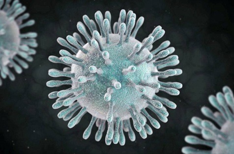 Coronavirus. Coronavirus.
