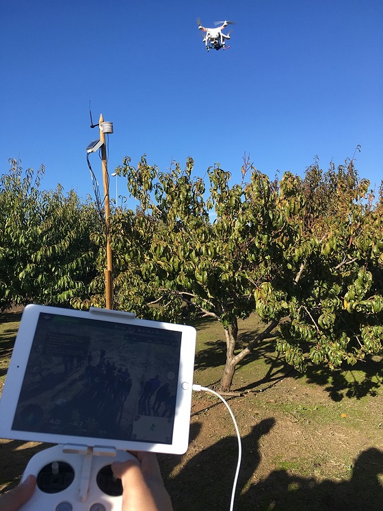 El proyecto de Smart AG Services en Andalucía recurre al uso de drones. El proyecto de Smart AG Services en Andalucía recurre al uso de drones.