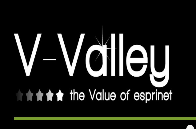 V-Valley V-Valley
