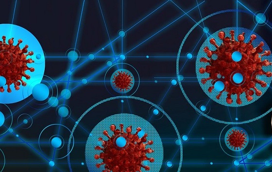 Internet: una red apta para pandemias Internet: una red apta para pandemias